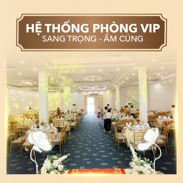 Hệ thống phòng VIP