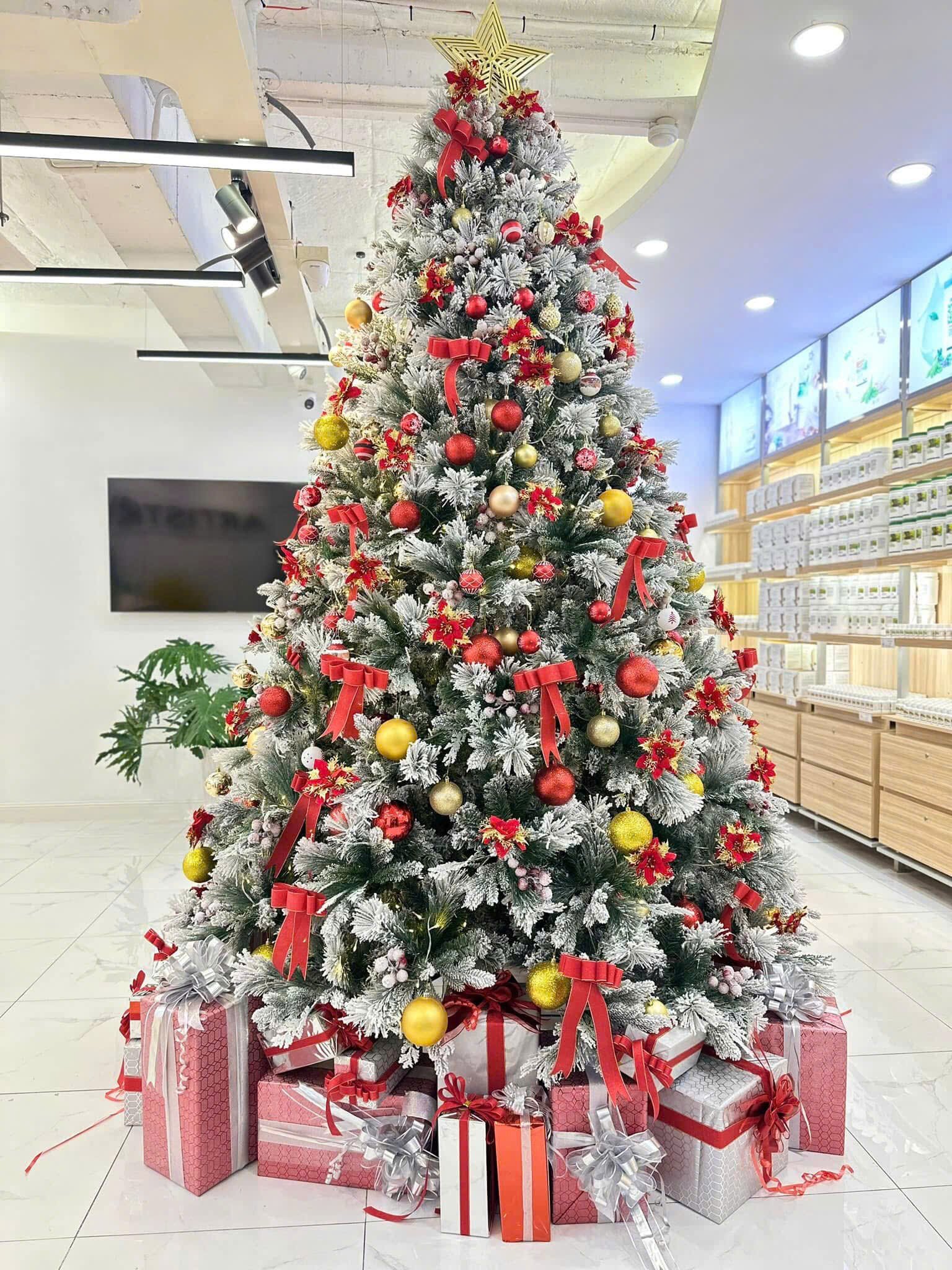 Dịch vụ trang trí Noel văn phòng trọn gói